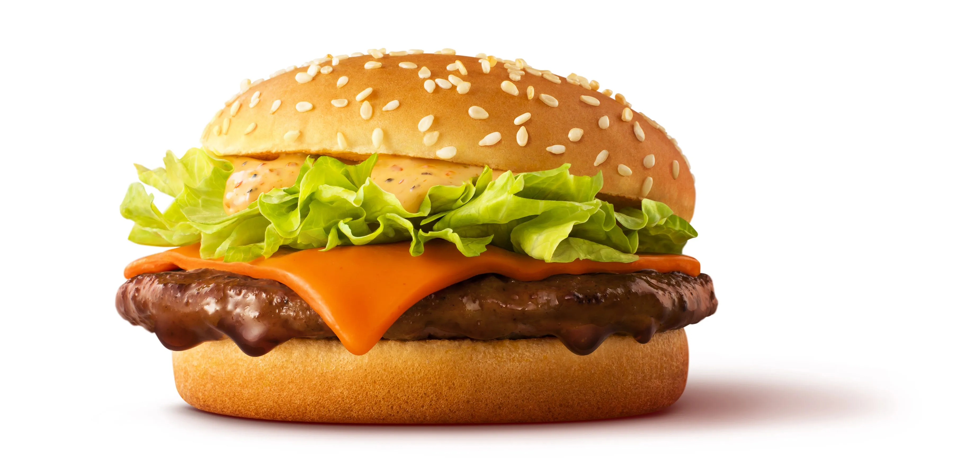 Teriyaki McBurger
